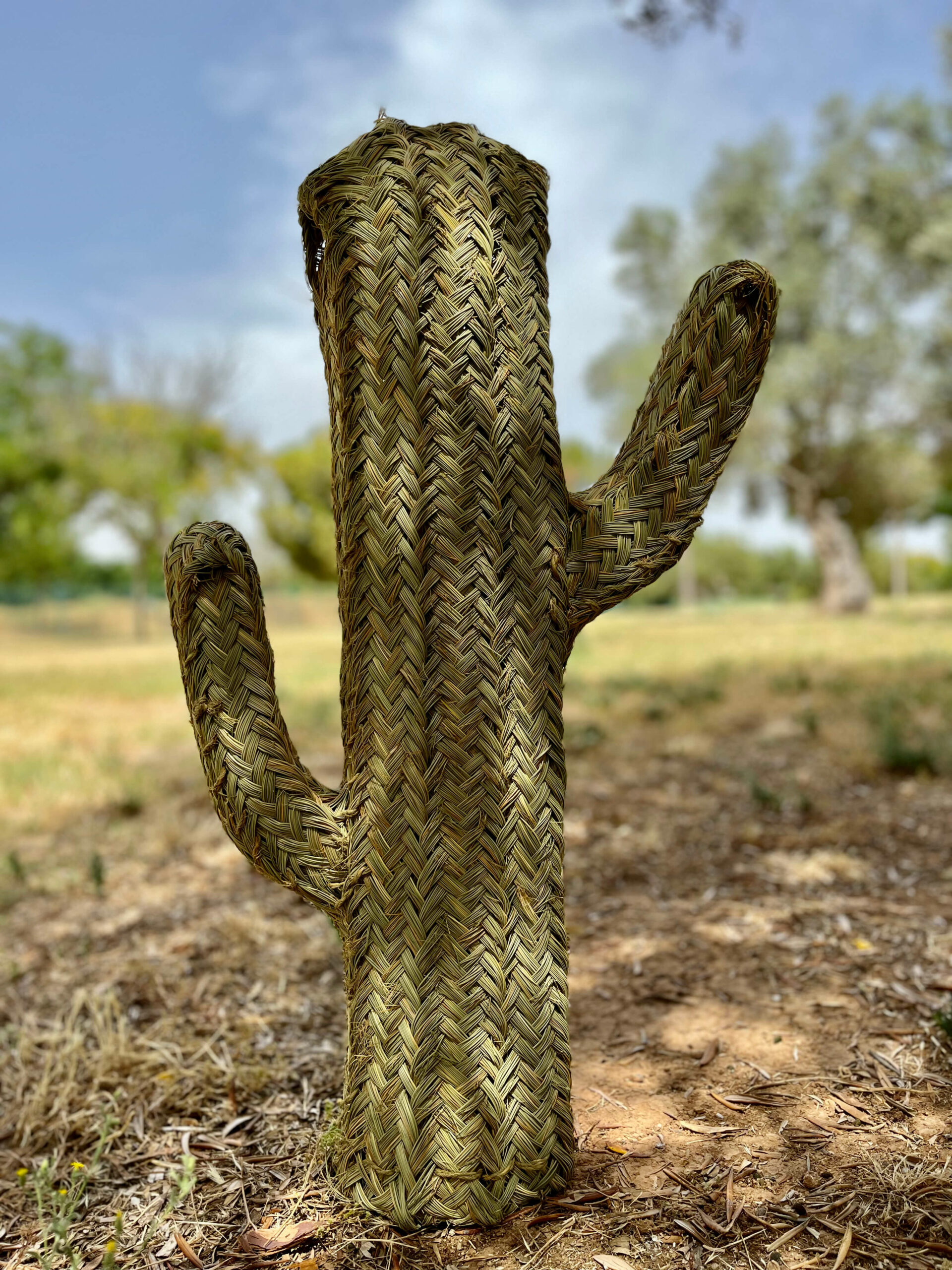 Cactus de mimbre