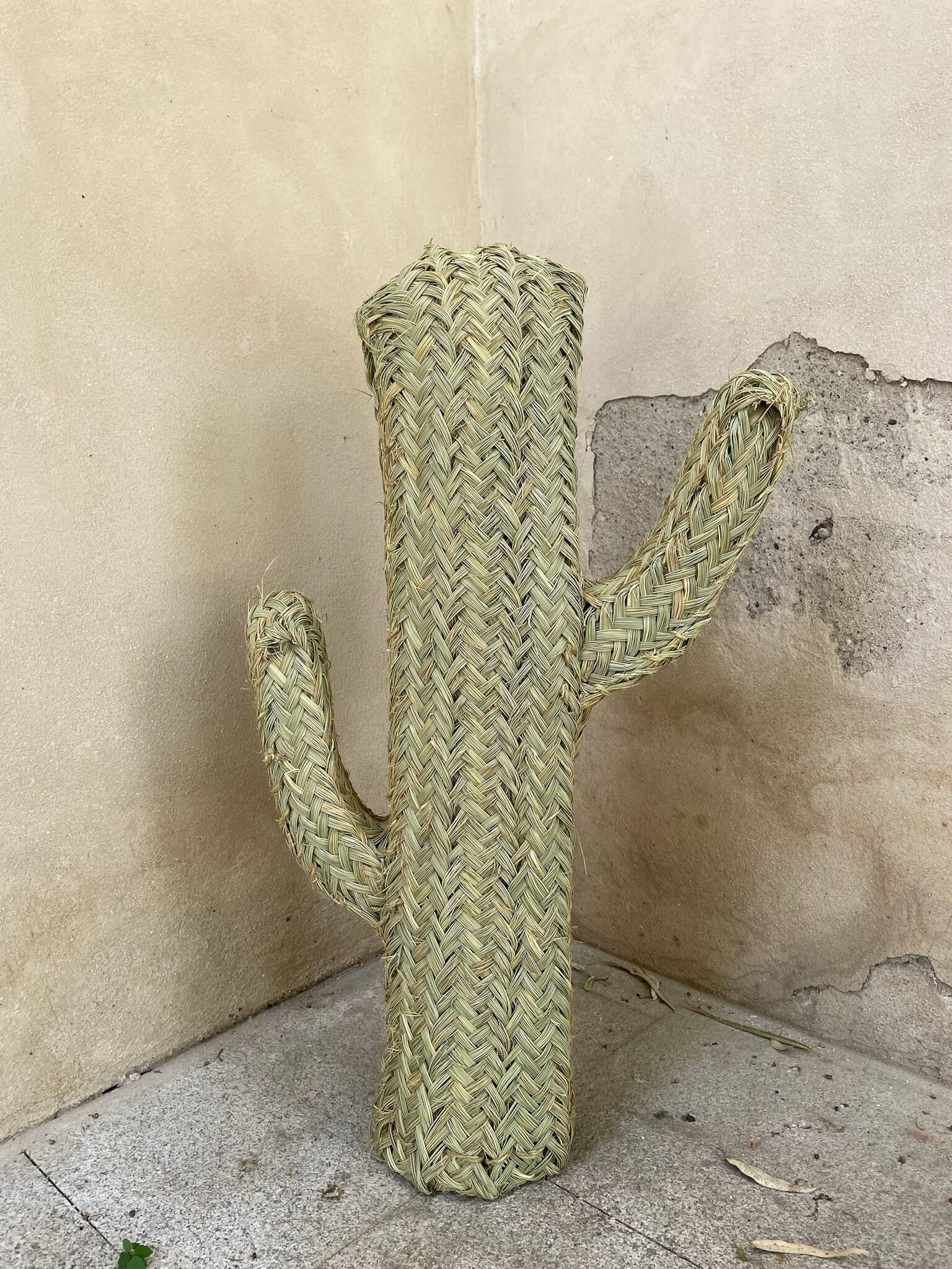 Cactus de mimbre