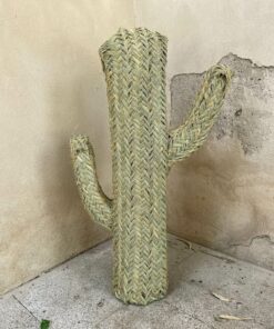 Cactus de mimbre