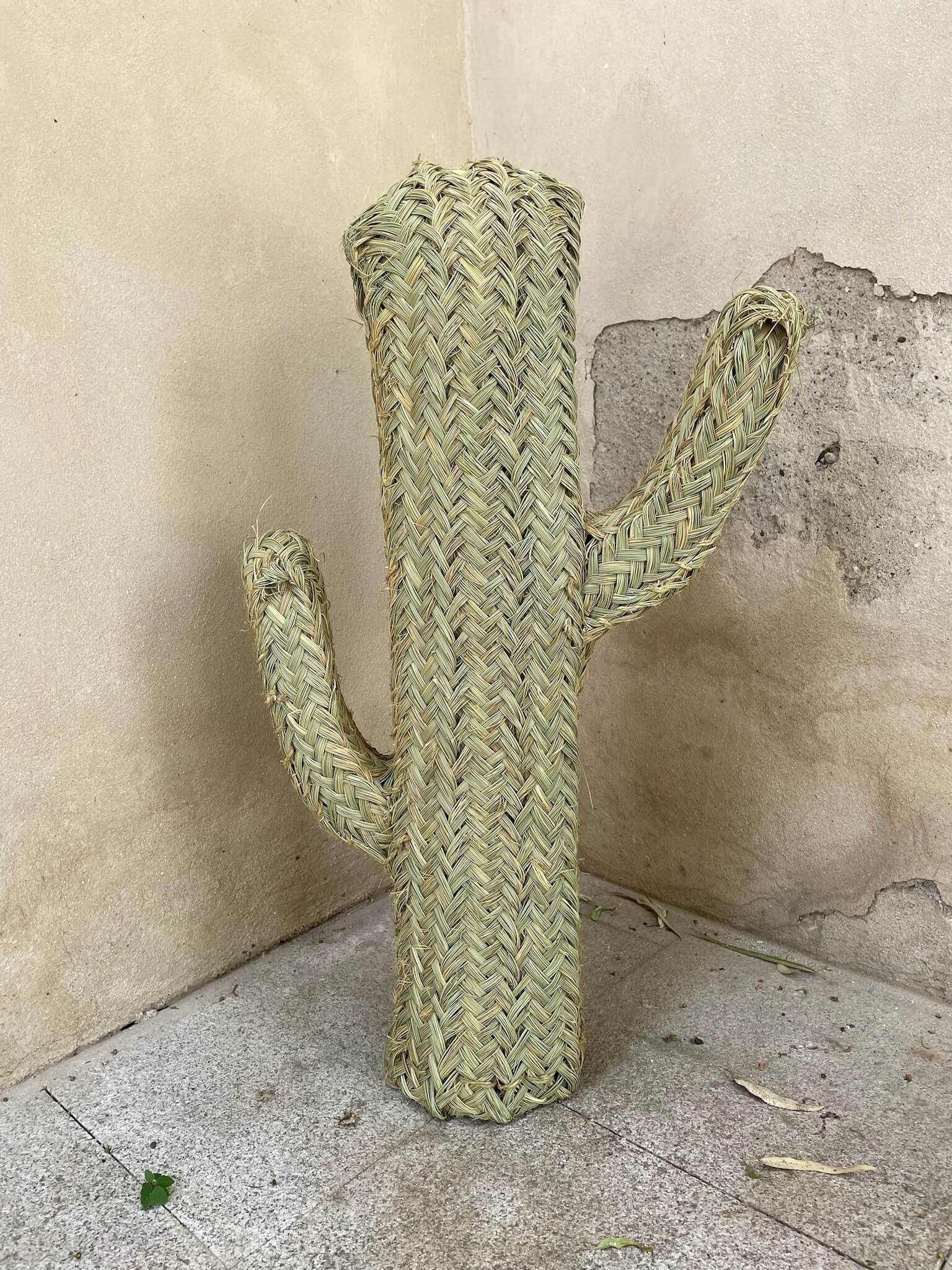 Cactus de mimbre