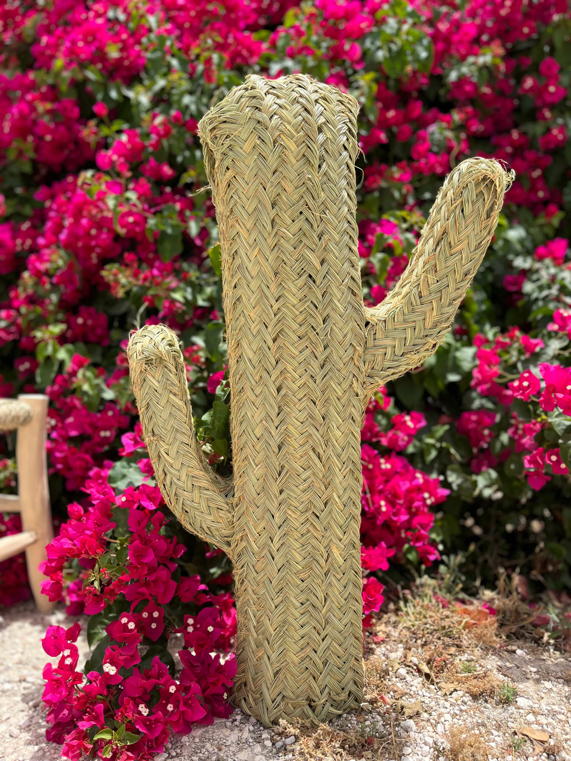Cactus de mimbre