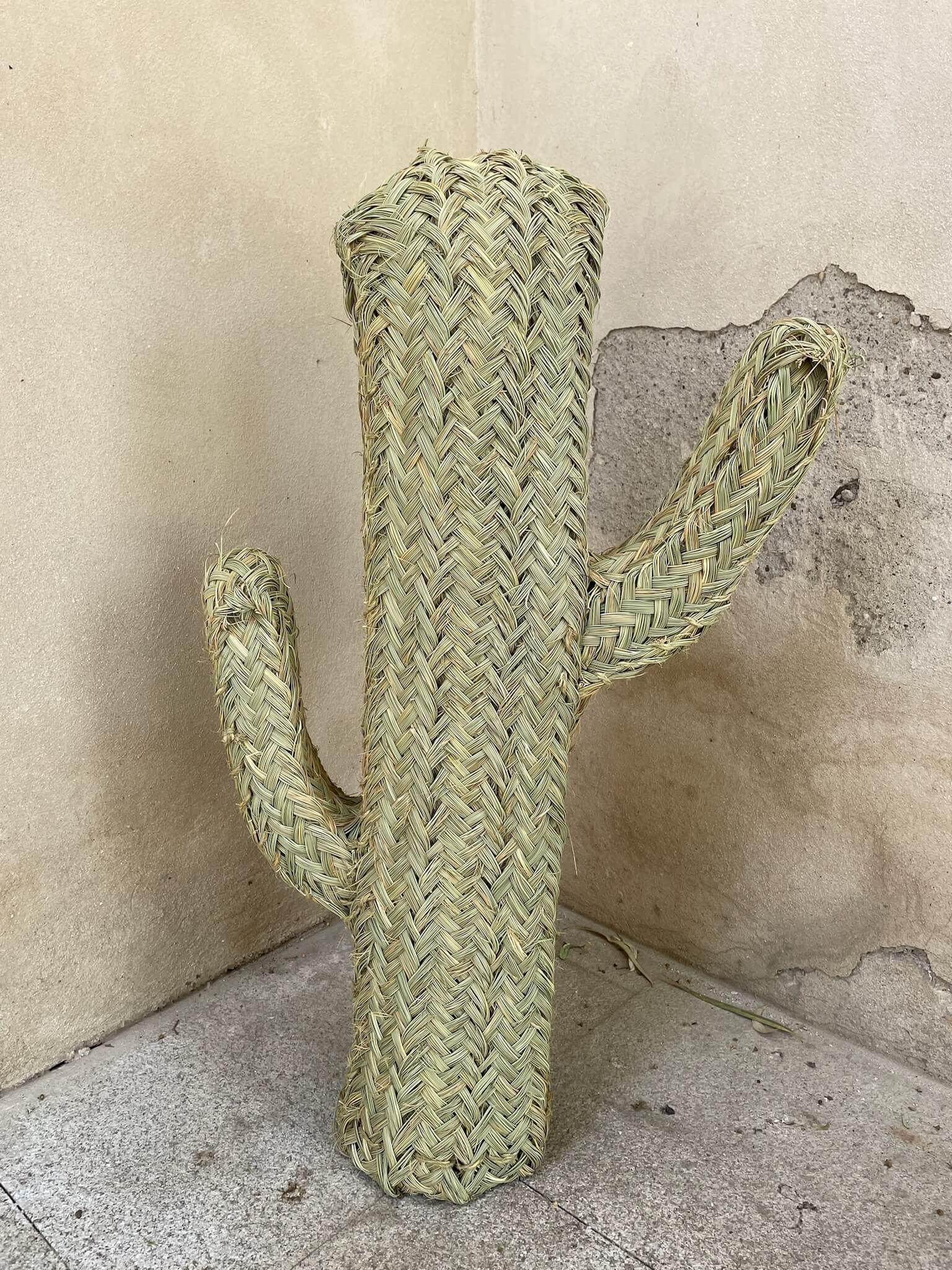 Cactus de mimbre